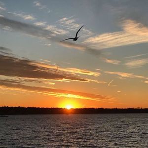 Meet your Posher, Erick